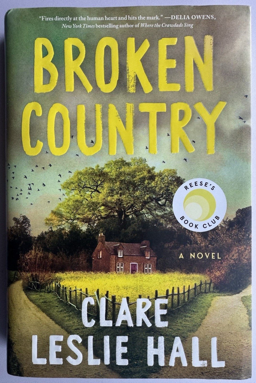Broken Country by Clare Leslie Hall (2025, Hardcover) Brand New First Ed First