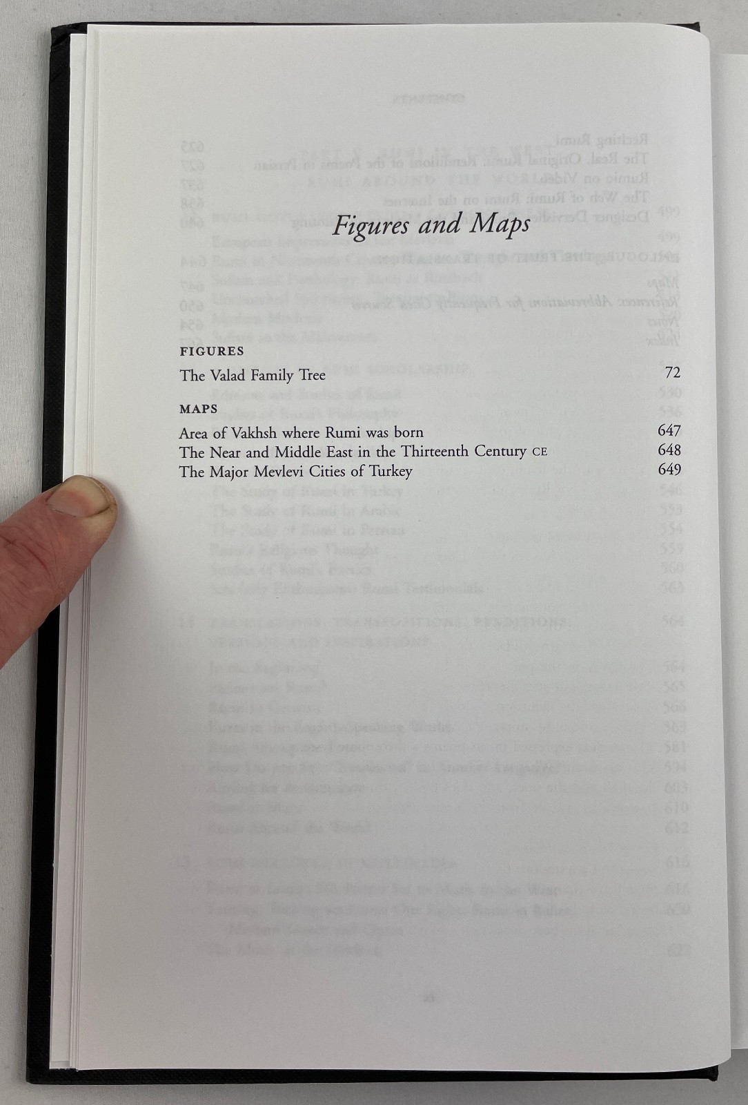 Rumi : Past and Present, East and West, Franklin D Lewis, 2001, HCDJ