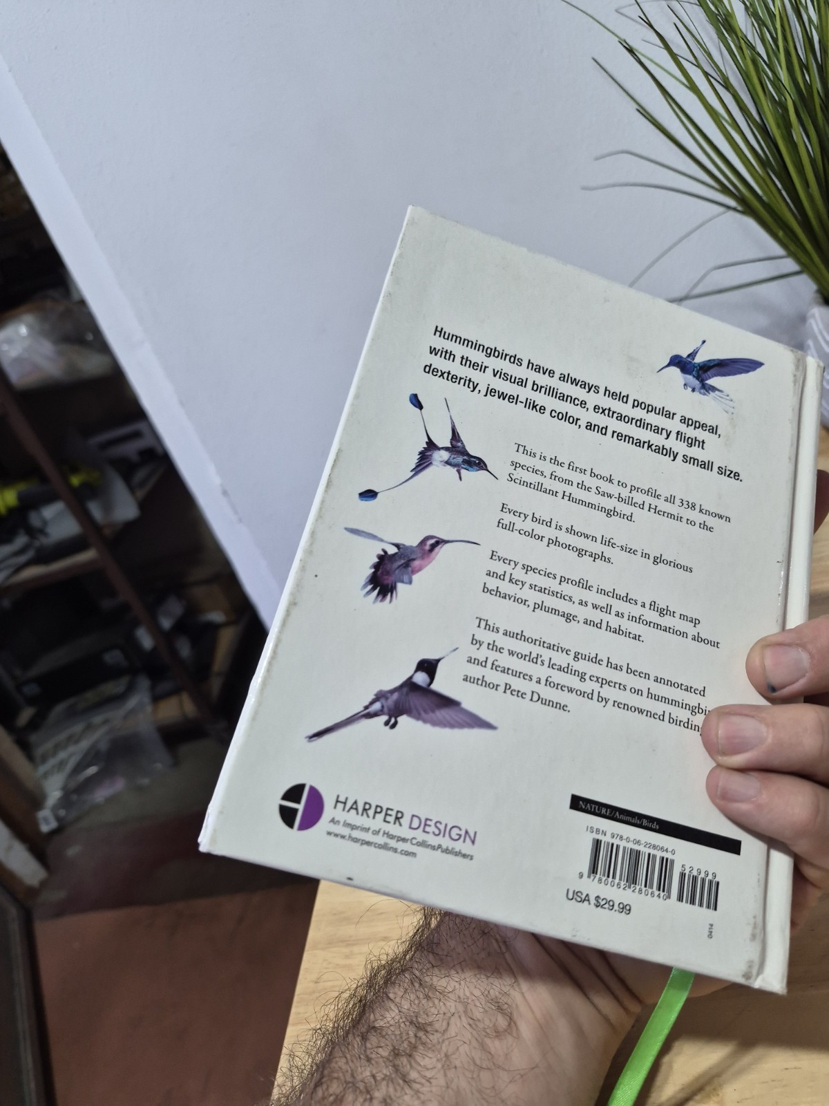 Hummingbirds: A Life-size Guide to Every Species, Fogden, Michael, Taylor, Maria