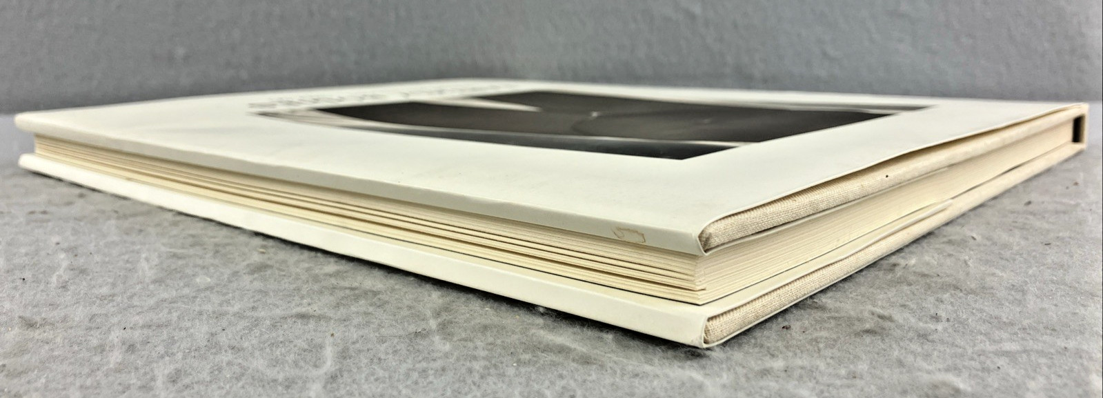 Earthly Bodies Irving Penn’s Nudes 1949-1950 Photography 1st Ed Hardcover