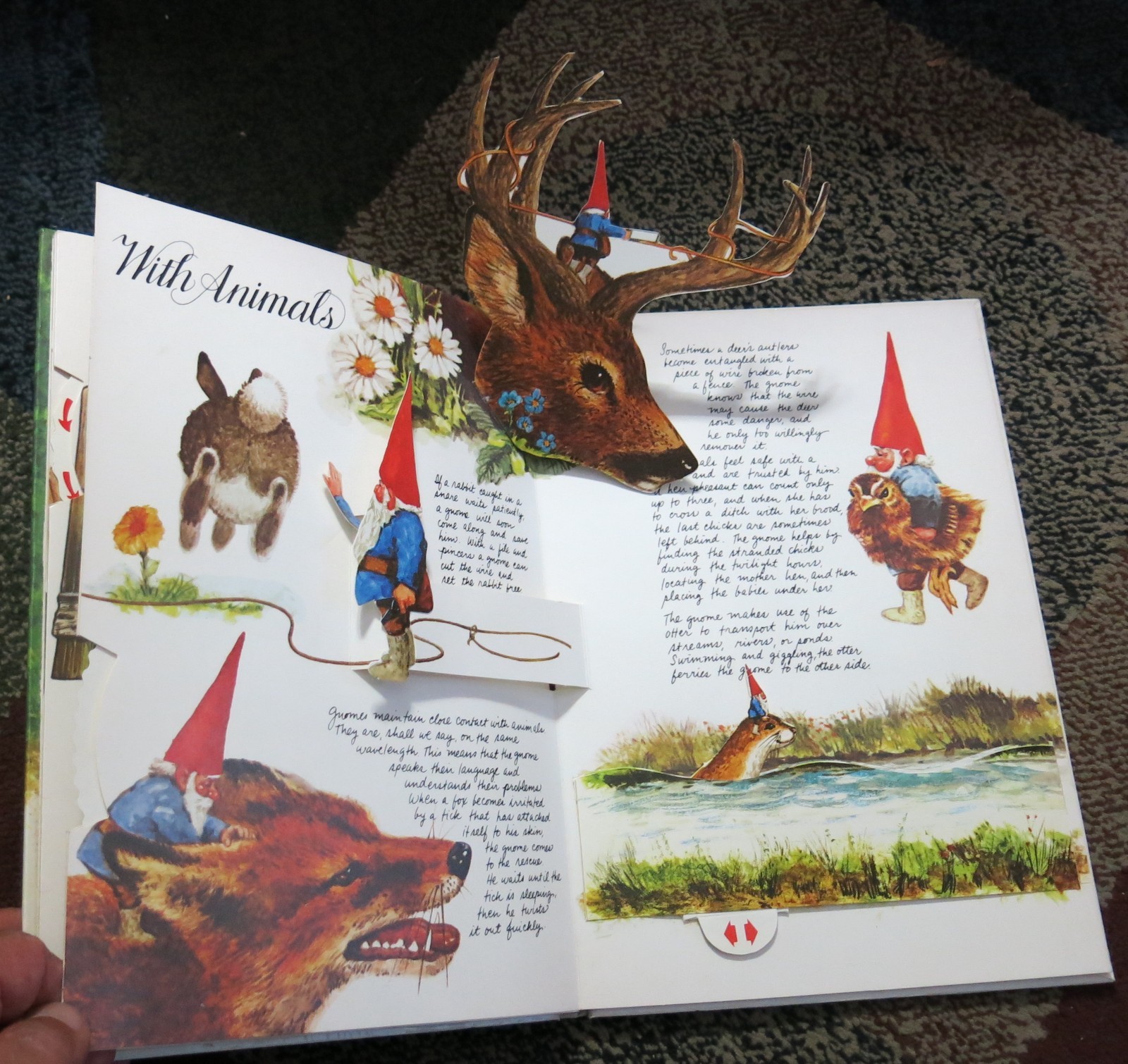 The Pop-Up Book of Gnomes – 1979 Hardcover Rien Poortvliet