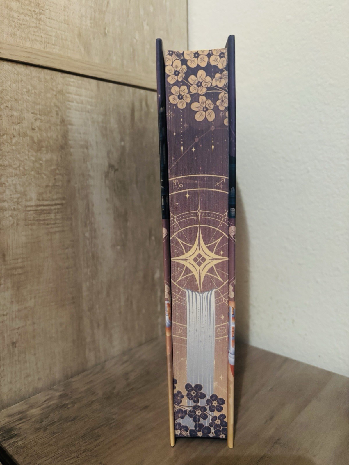 SIGNED Fairyloot Exclusive Heavenly Bodies By Imani Erriu Special Edition New HB