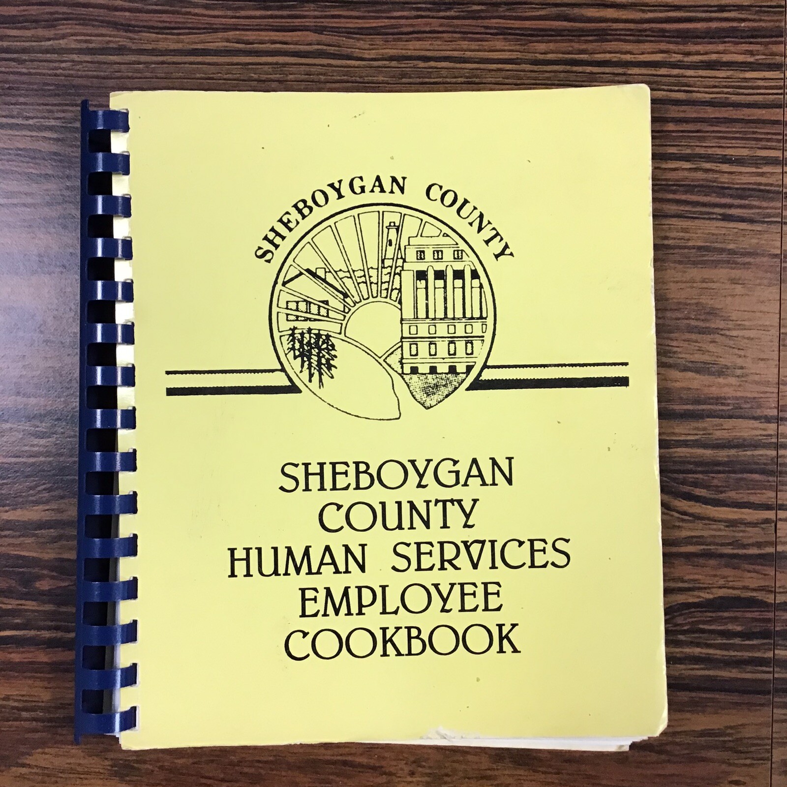 Sheboygan Wisconsin Human Services Employee Vtg 1980s Cookbook SEE INDEX PHOTOS
