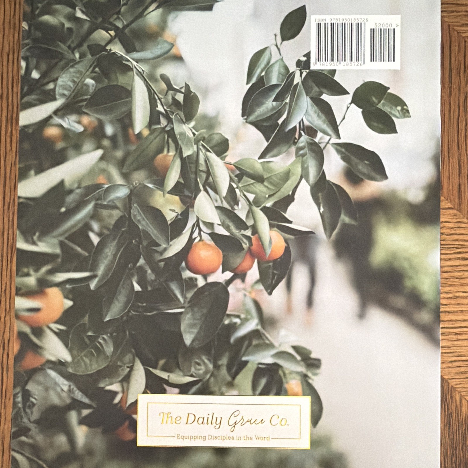Genesis: Foundations of Grace Vol 1 Joanna Kimbrel PB Illus