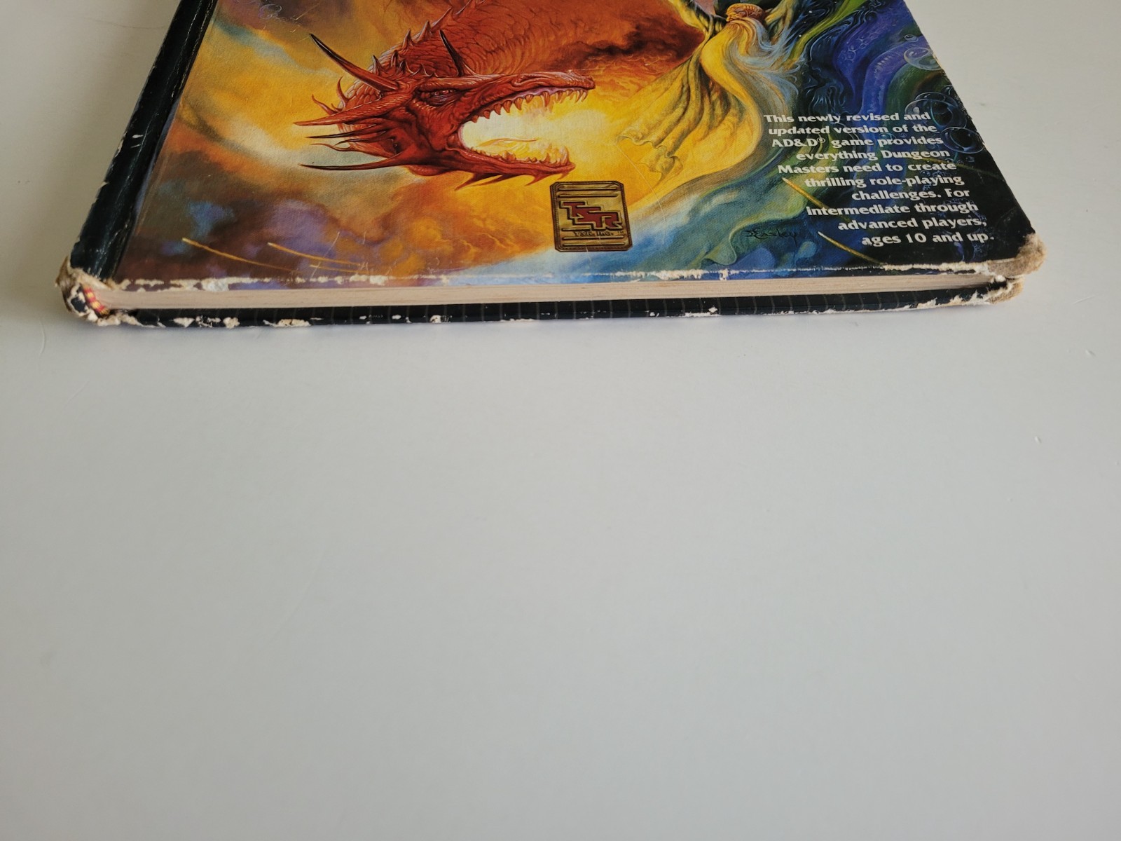 TSR 2E AD&D Advanced Dungeons & Dragons 2nd Edition Dungeon Master’s Guide