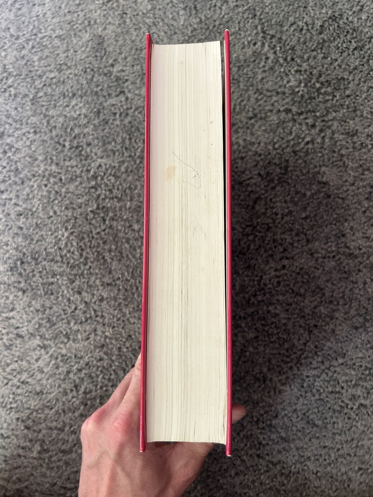 NRSV Bible – Oxford LARGE PRINT Edition – Hardcover – RARE Cover 1995