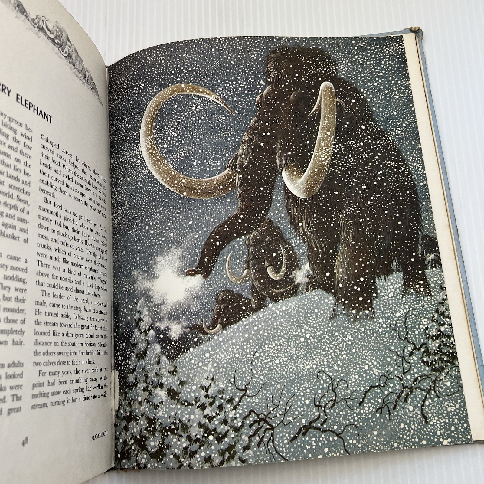 Album of Prehistoric Animals by Tom McGowen (1975) Vintage, Dinosaurs, Education