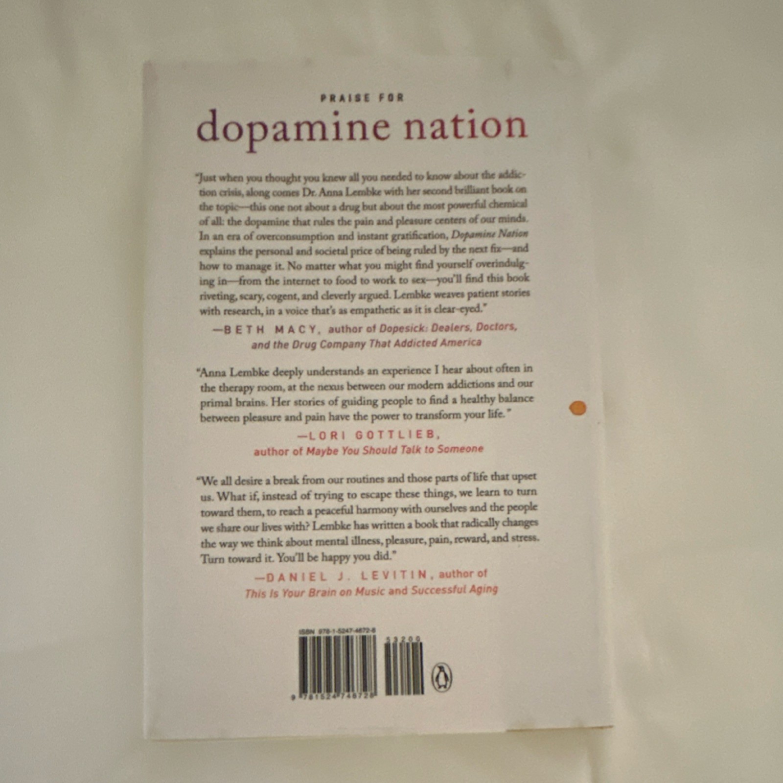 Dopamine Nation by Anna Lembke, MD Paperback Nonfiction Addiction