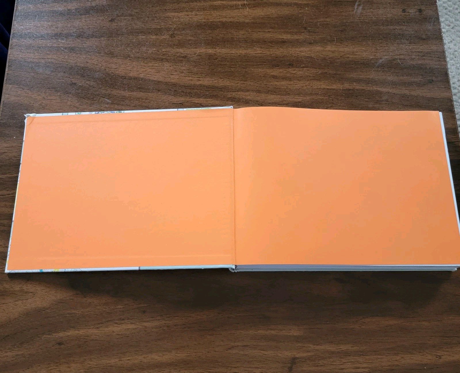 Landscape and Garden Design Sketchbooks By Tim Richardson