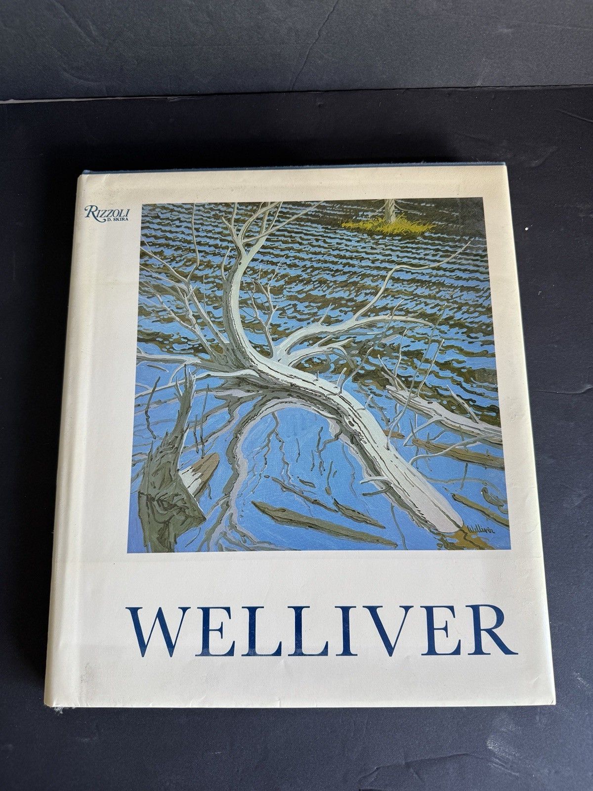Neil Welliver Art Monograph Hardcover 1985 Rizzoli w/ Dust Jacket Large Format