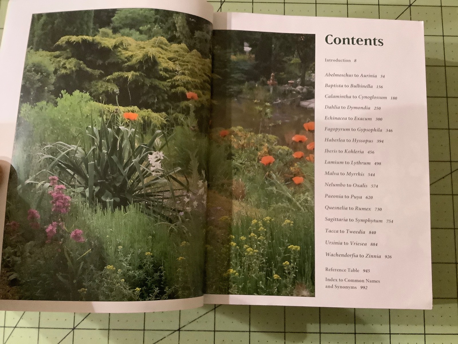 BOTANICAS ANNUALS AND PERENNIALS – Thick Paperback – VERY GOOD