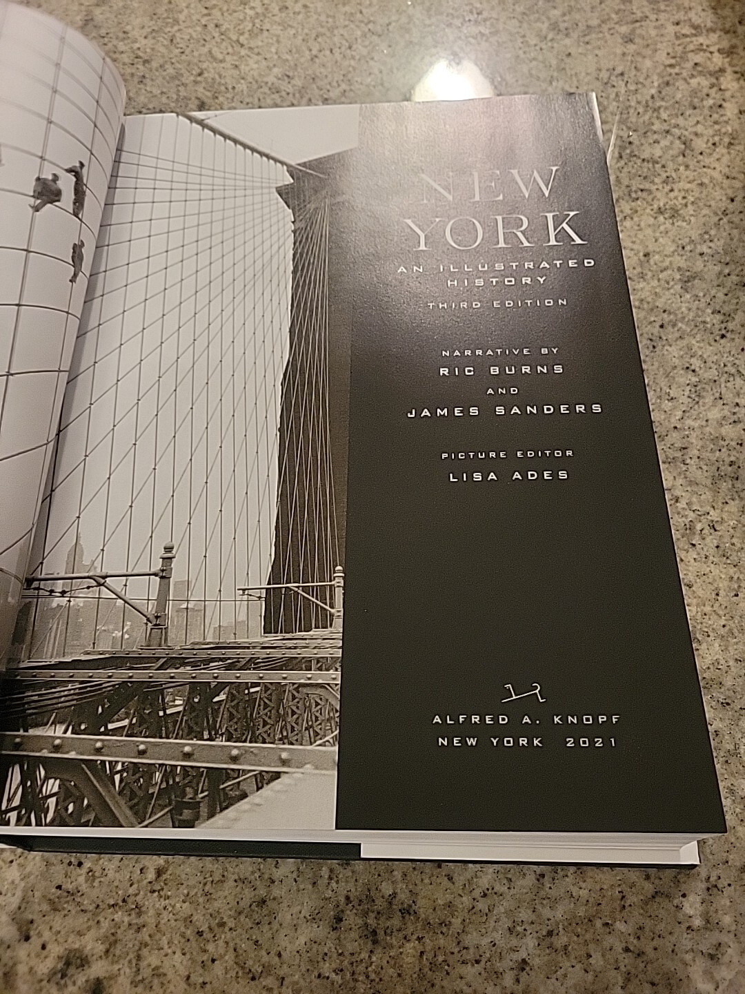 New York An Illustrated History Revised And Expanded Third Edition Rare Hardback