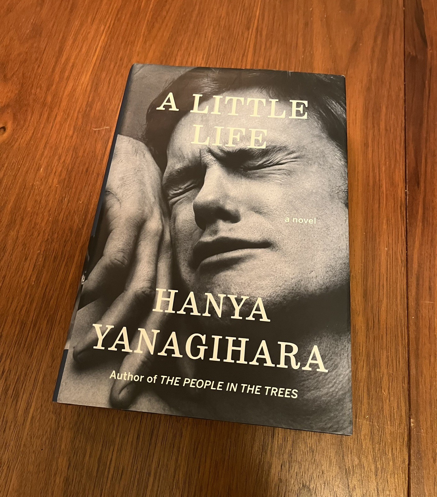 A Little Life by Hanya Yanagihara (Hardcover) 2015 First Edition – LIKE NEW!