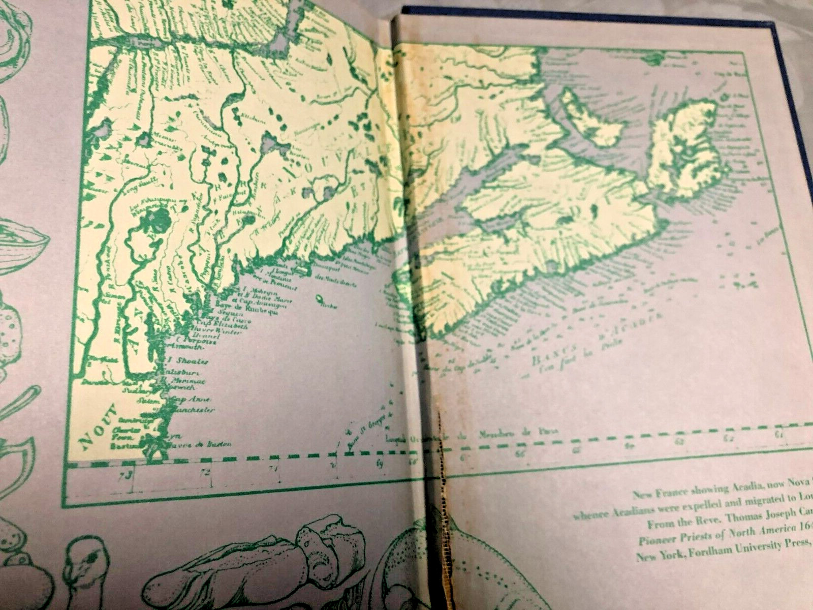 RARE 1ST PRINT! French Cooking in the New World Louisiana Creole by F & P Roboni