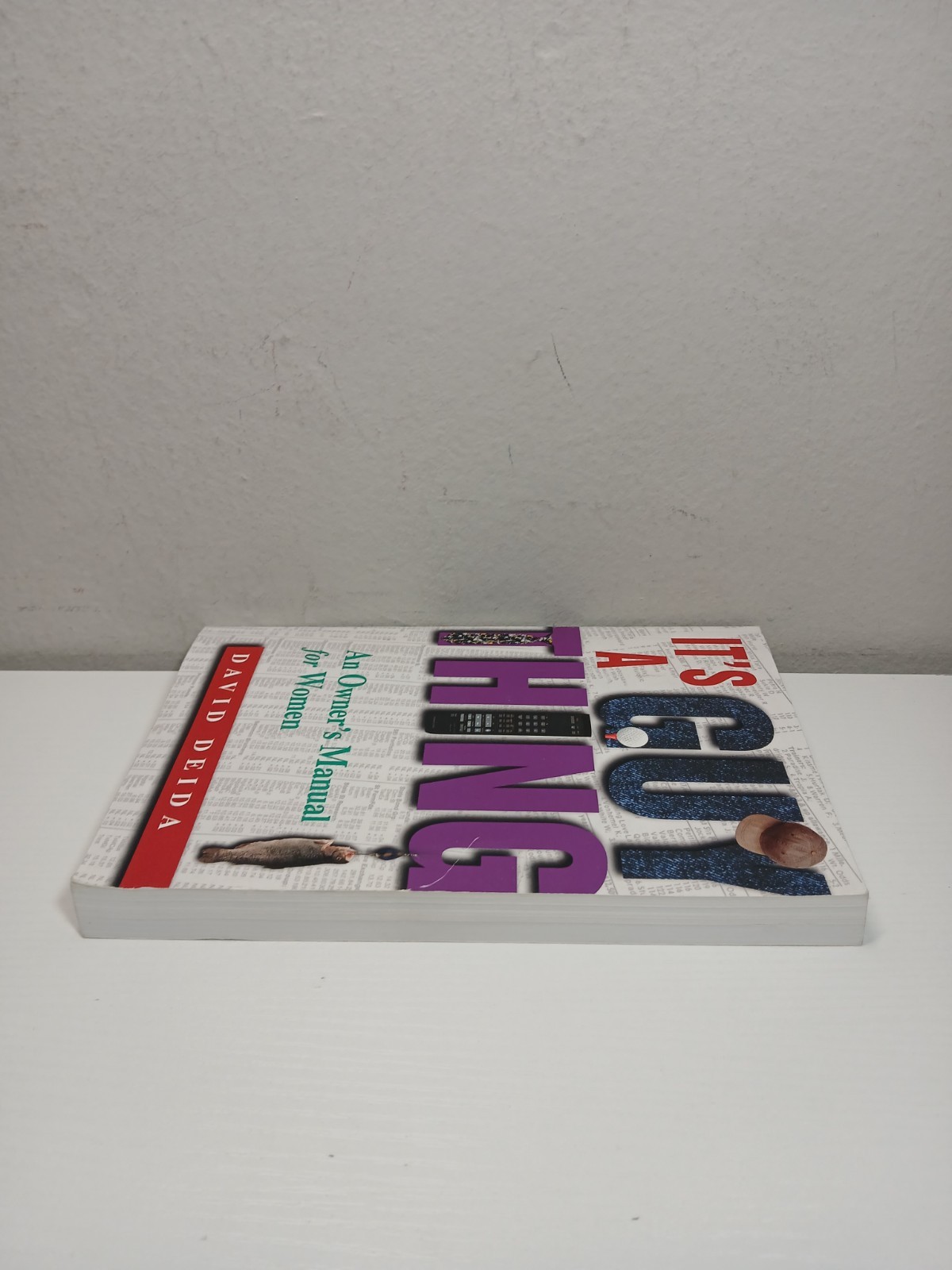 It’s A Guy Thing: A Owner’s Manual for Women – Paperback By Deida, David – GOOD