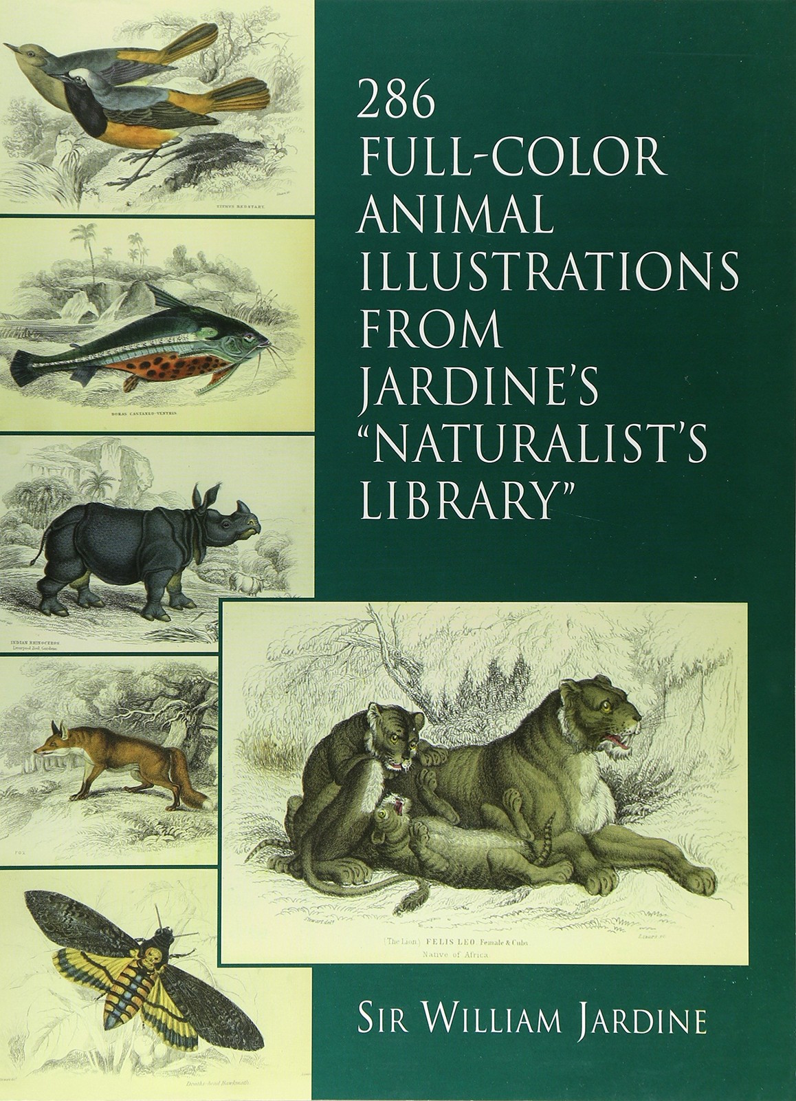 286 Full-Color Animal Illustrations: From Jardine’s “Naturalist’s Library” (…