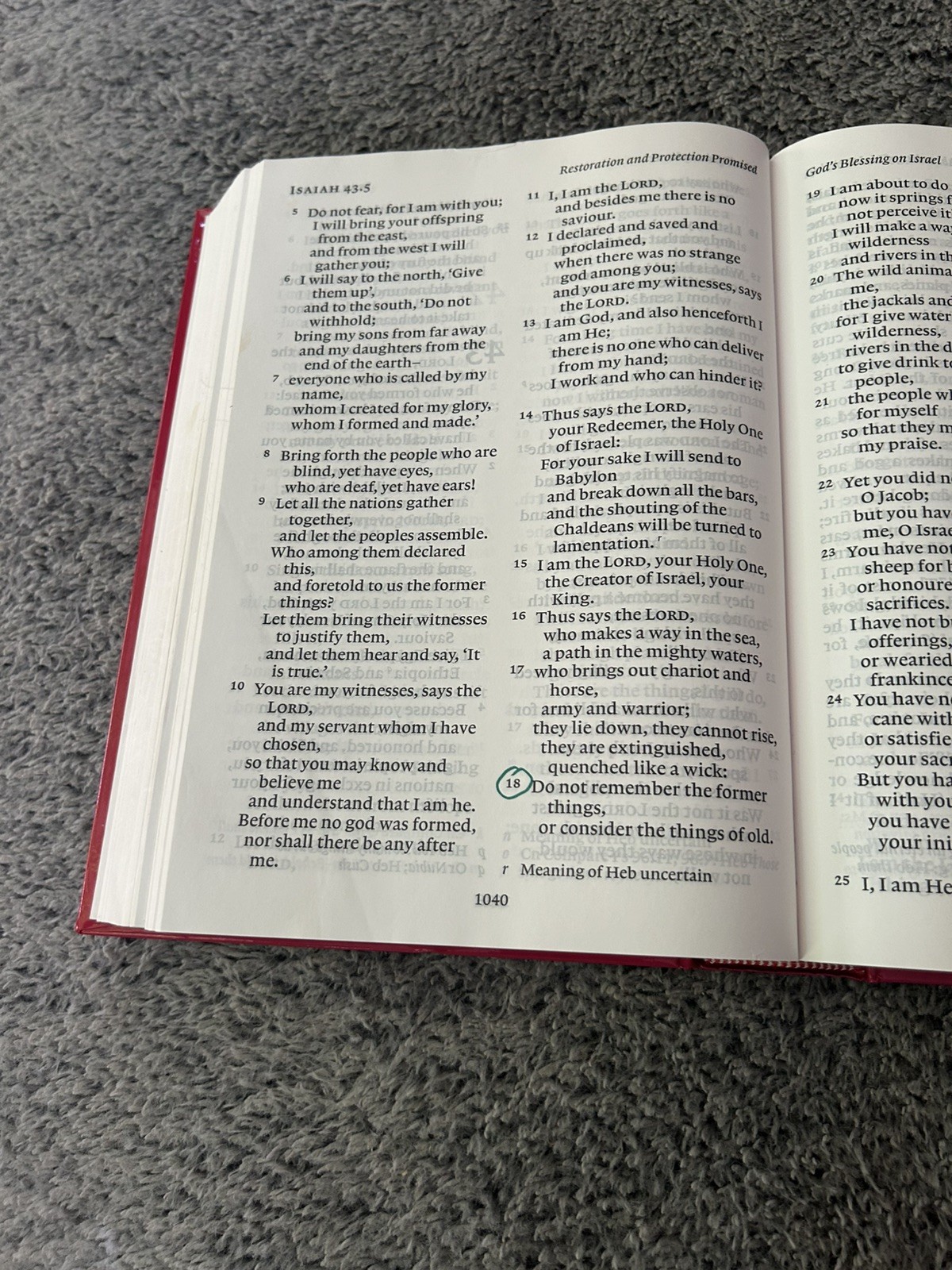 NRSV Bible – Oxford LARGE PRINT Edition – Hardcover – RARE Cover 1995
