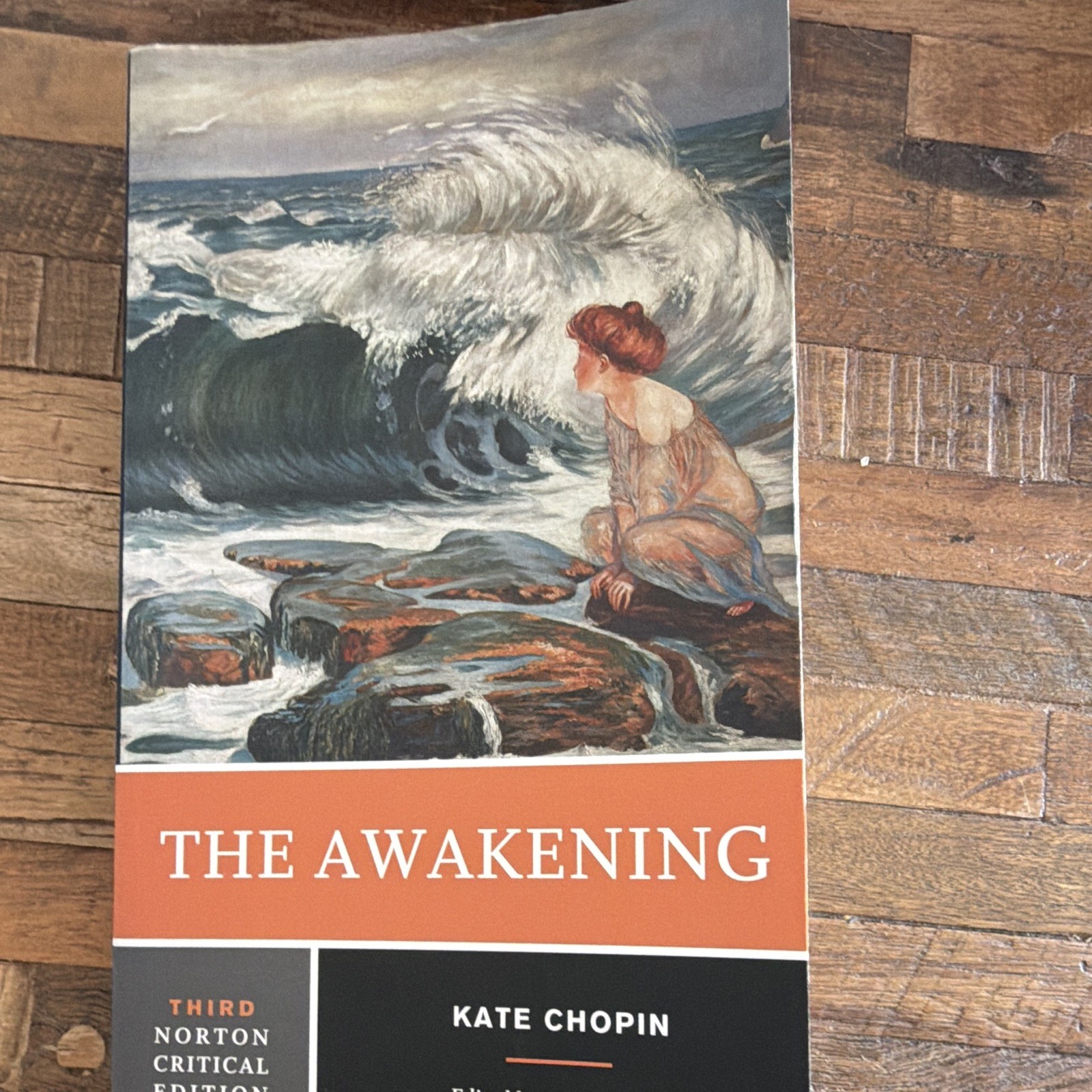 Norton The Awakening by Kate Chopin, Margo Culley, 3rd Ed, Trade PB