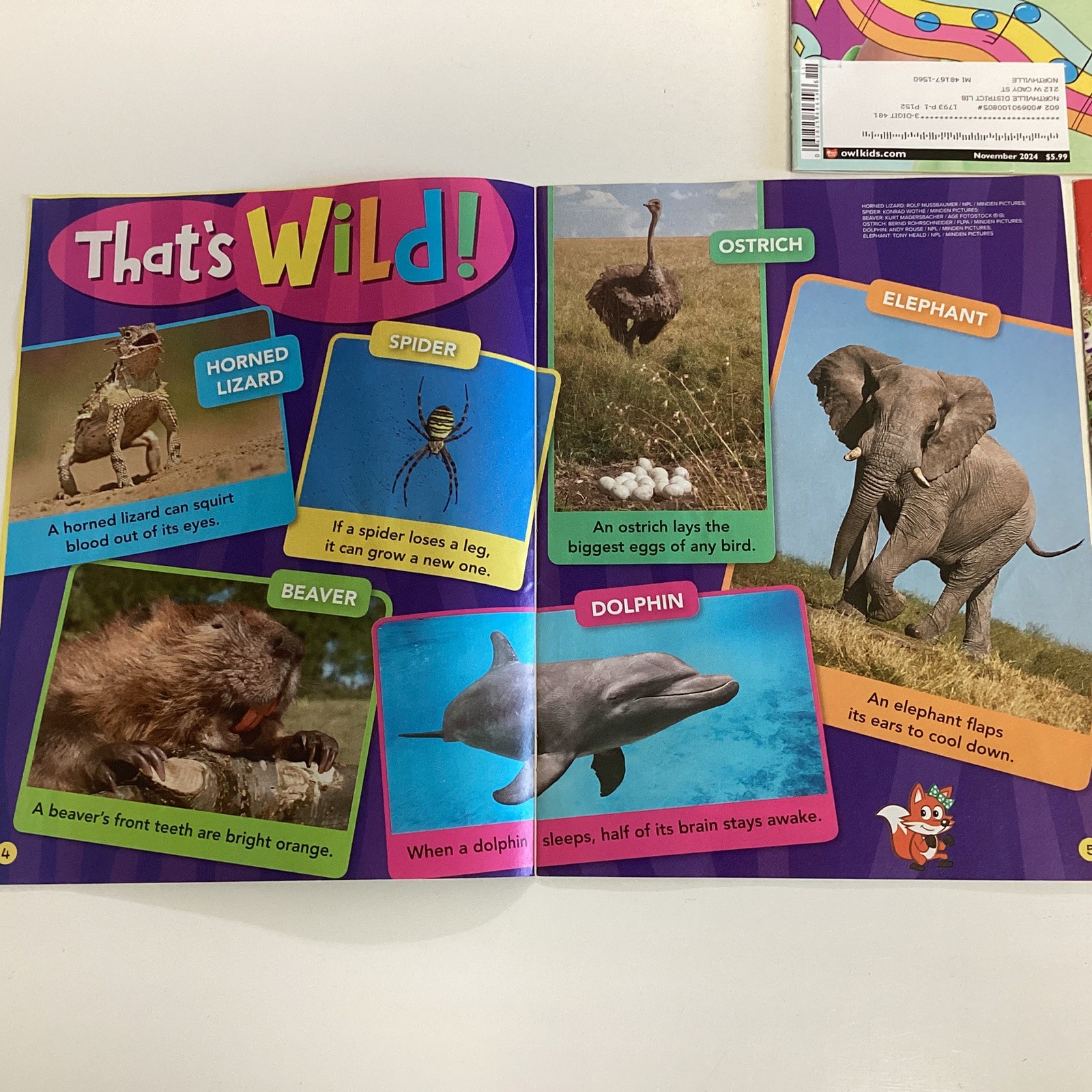 Ranger Rick Jr. Chickadee Ages 6-9 Animal Series Children’s Magazine 10 Book Lot