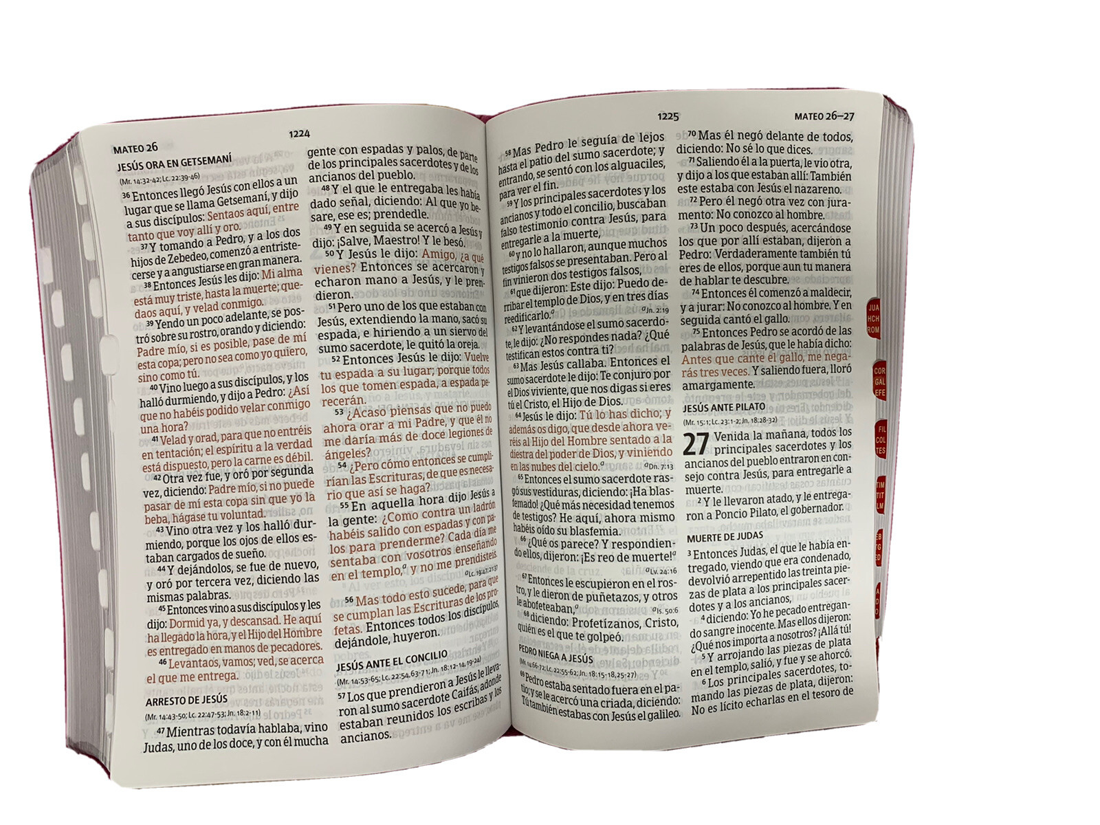 Biblia Letra Grande 12 puntos para Mujer con cierre RV1960 floral con indice