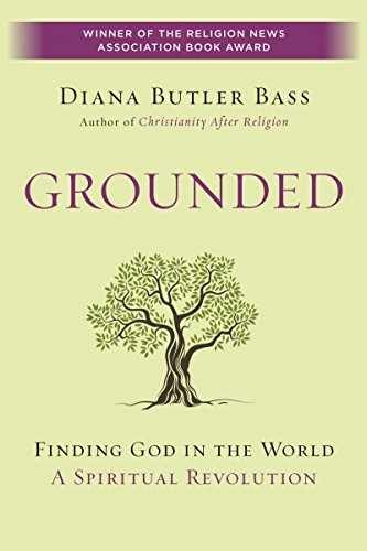 Grounded: Finding God in the – Paperback, by Bass Diana Butler – Very Good q