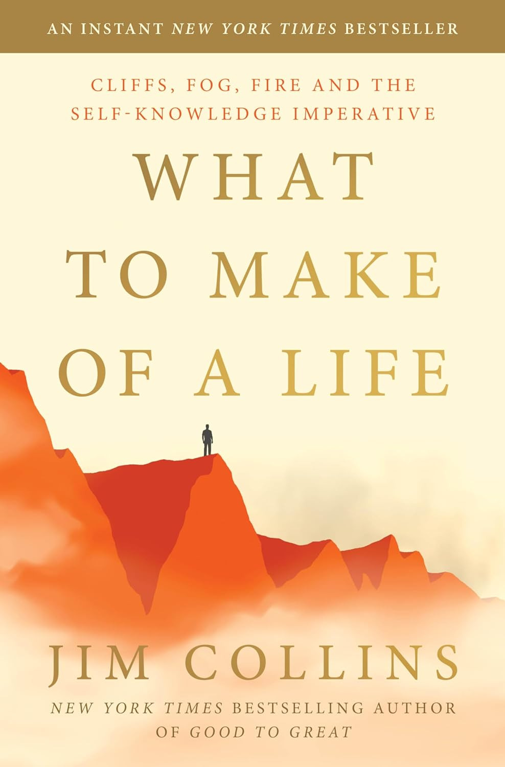 What to Make of a Life: Cliffs, Fog, Fire and the Self-Knowledge Imperative