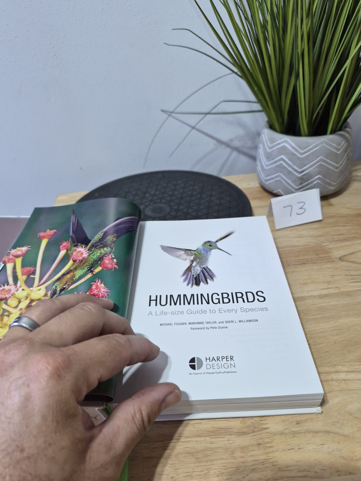 Hummingbirds: A Life-size Guide to Every Species, Fogden, Michael, Taylor, Maria
