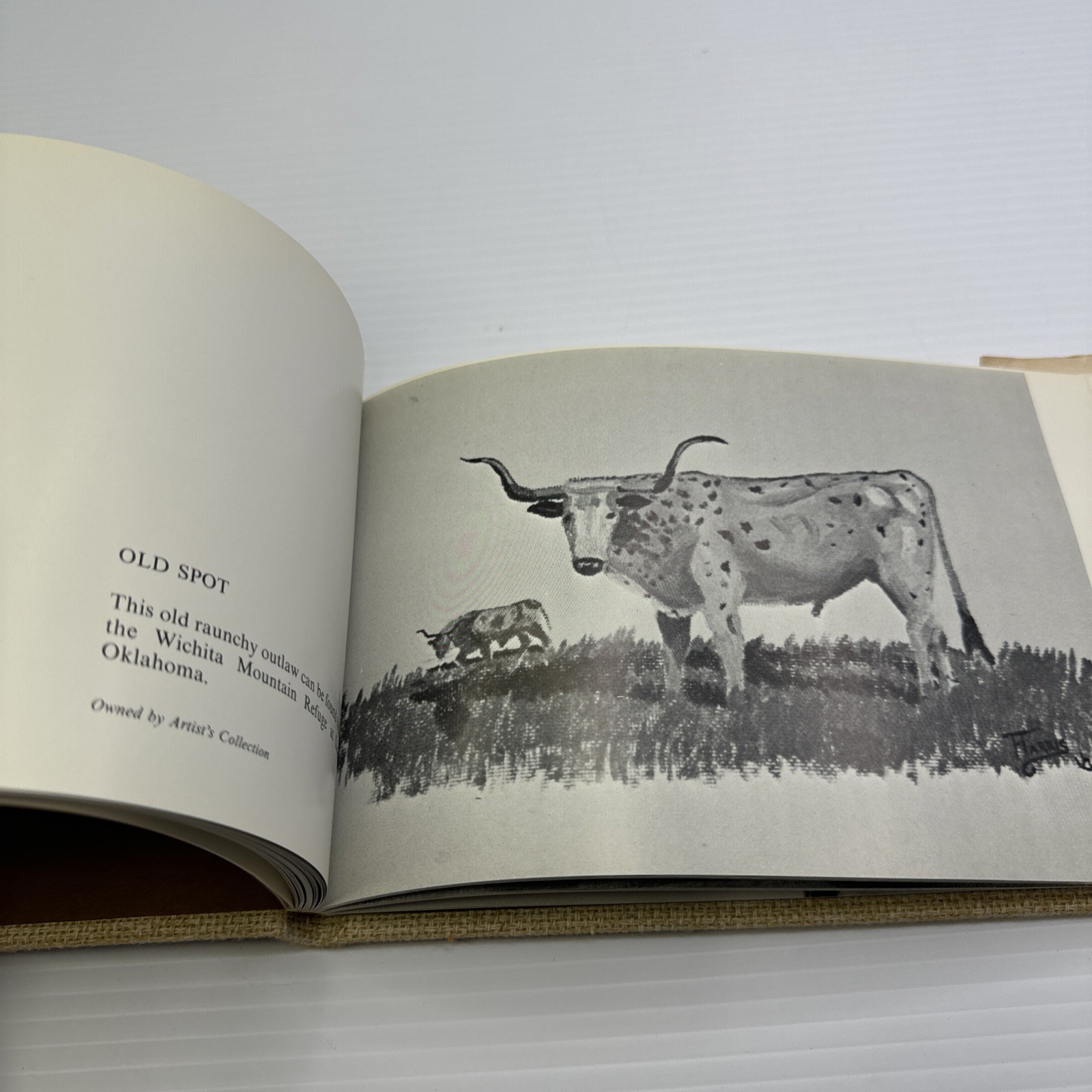 The Western Paintings of Fred Red Harris Signed! 1971 Limited ED Taylor Publish