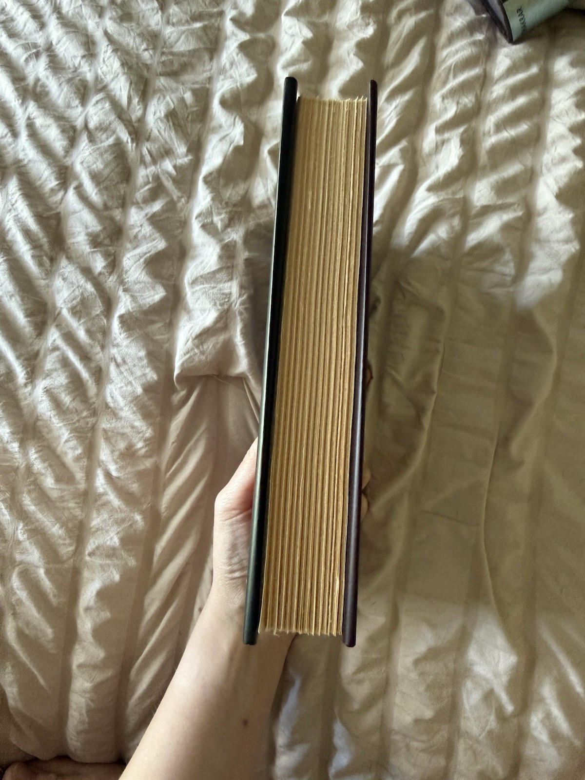 Four Dead Queens By Astrid Scholar Signed Hardcover Edition