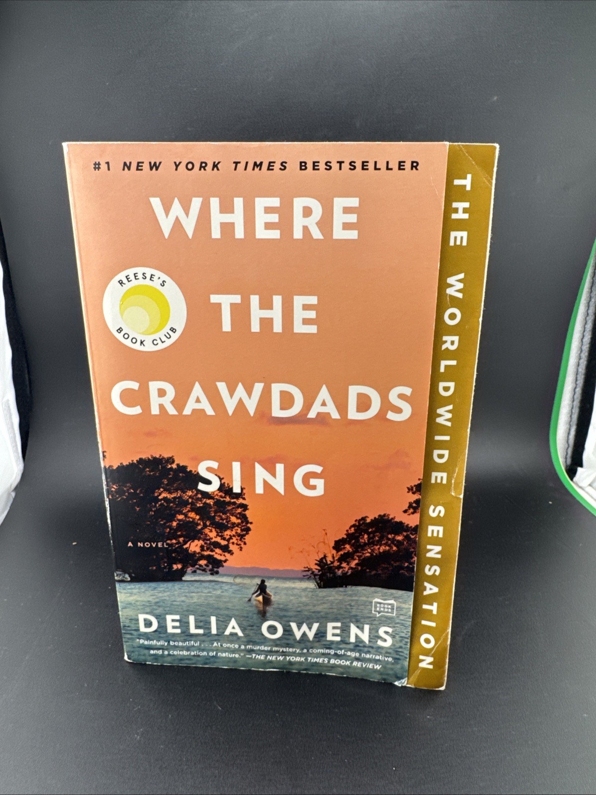 Where the Crawdads Sing Paper Back Book