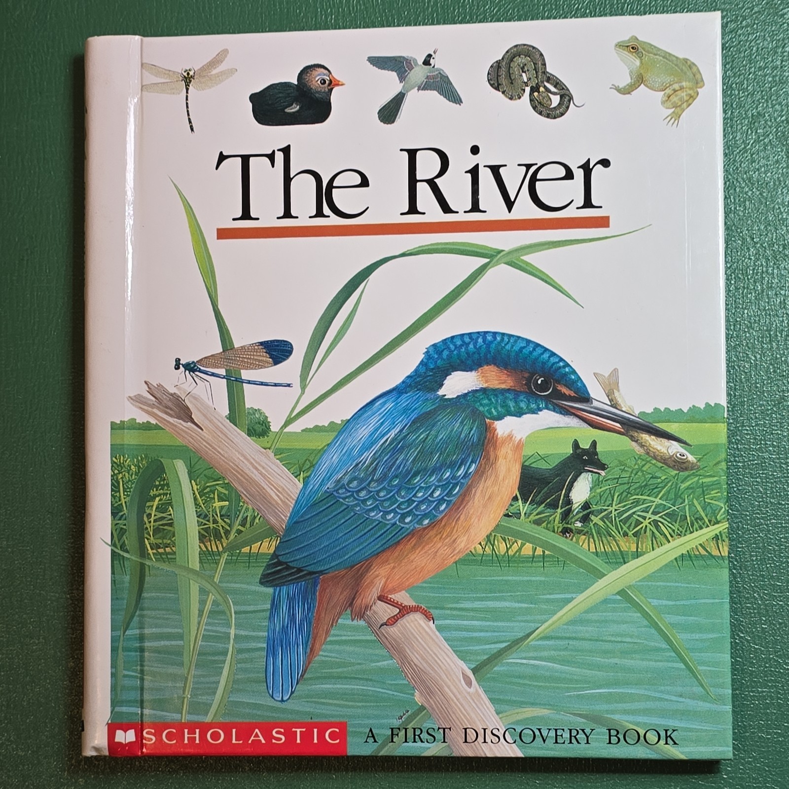River by Gallimard Jeunesse (1993, Merchandise, Other)