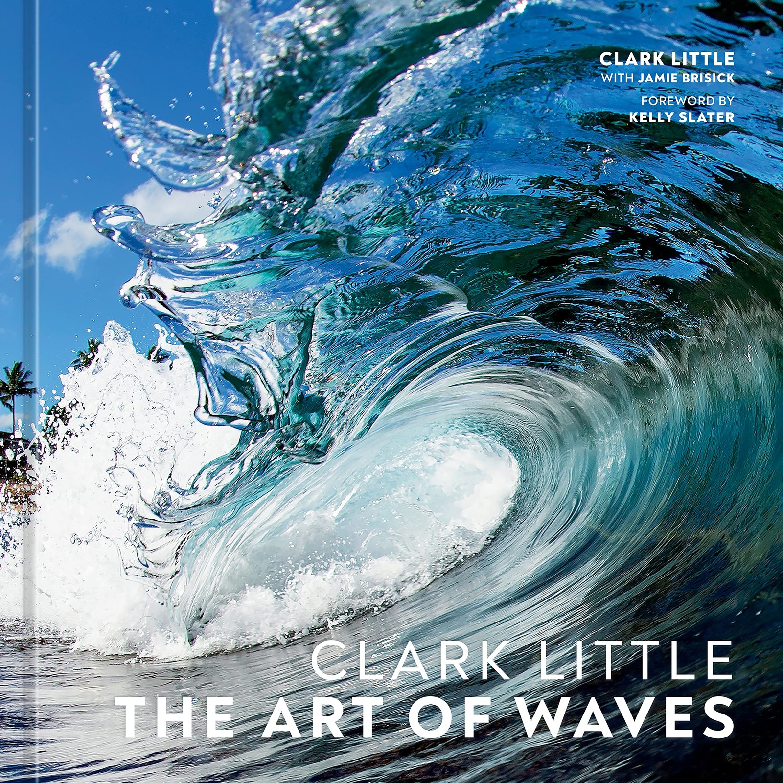 Clark Little: The Art of Waves, Little, Clark, Acceptable Book