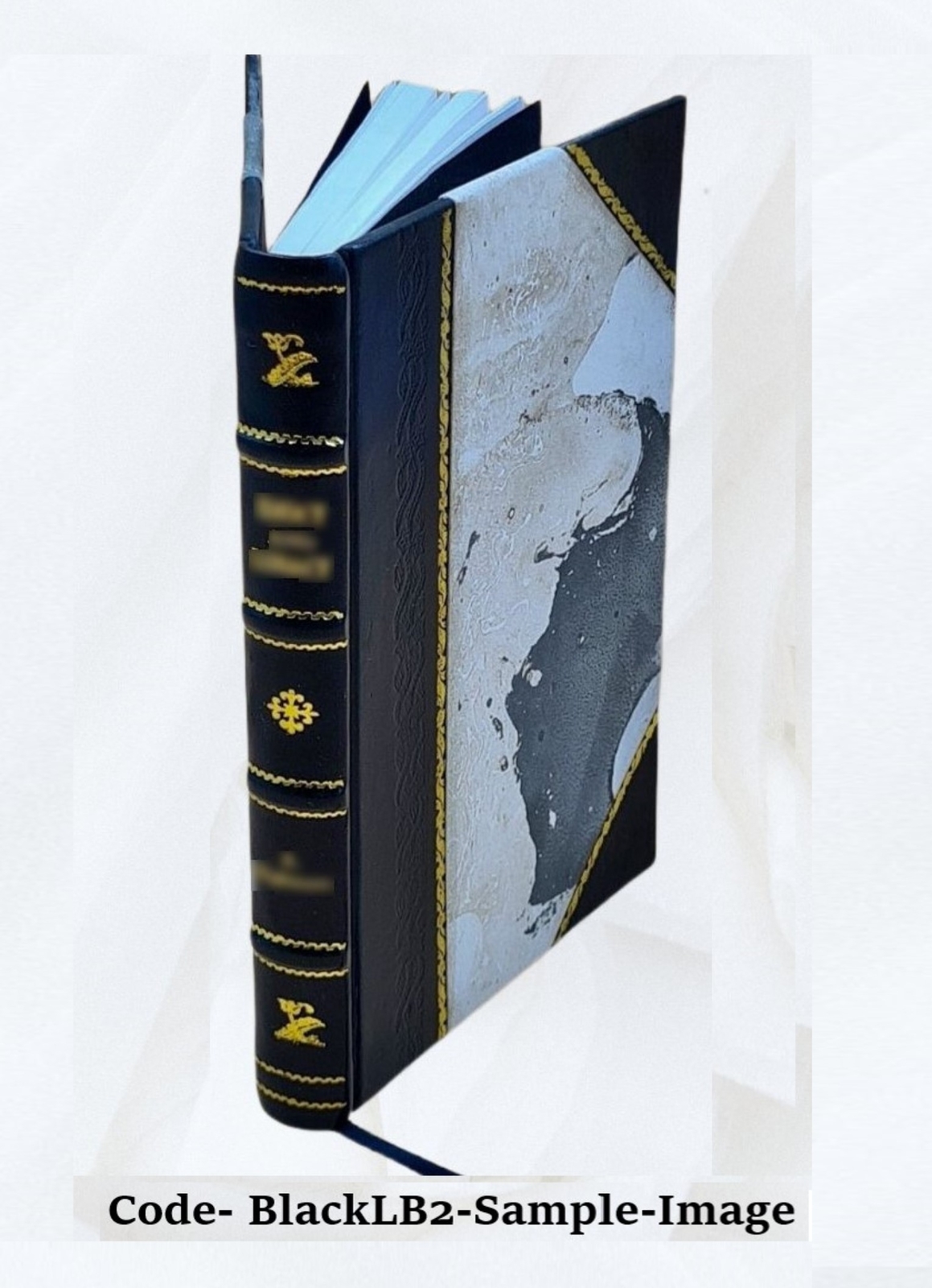 Human Behavior And The Principle Of Least Effort 1949 [Leather Bound]