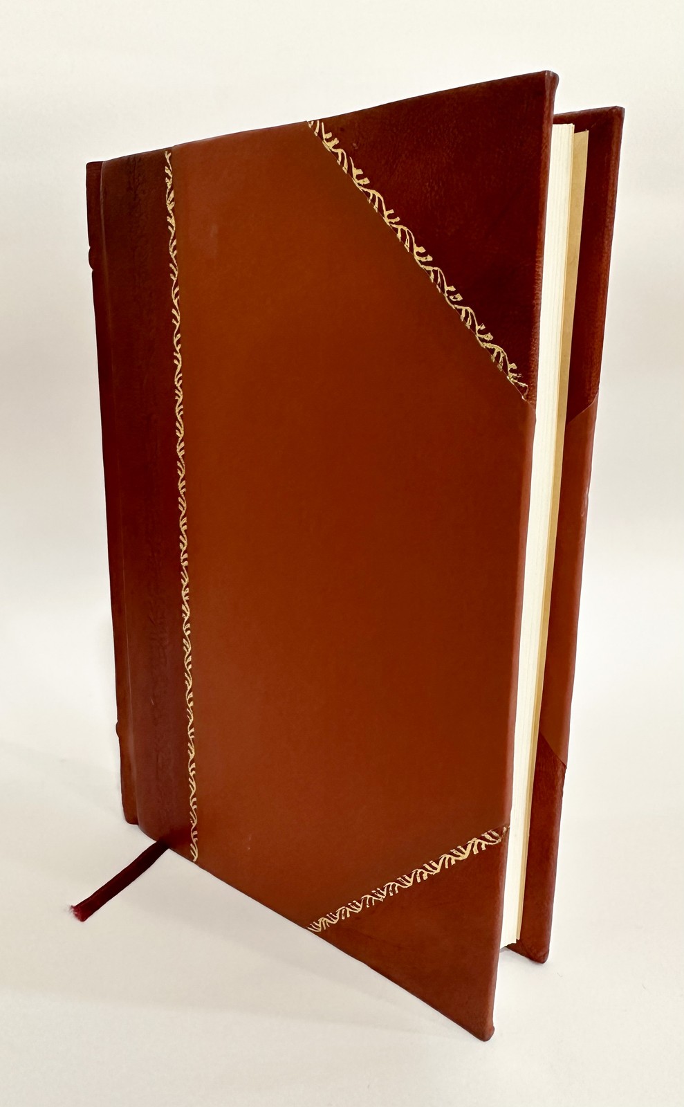 L’Uomo Delinquente : Studiato in Rapporto Alla Antropologia, Al [Leather Bound]