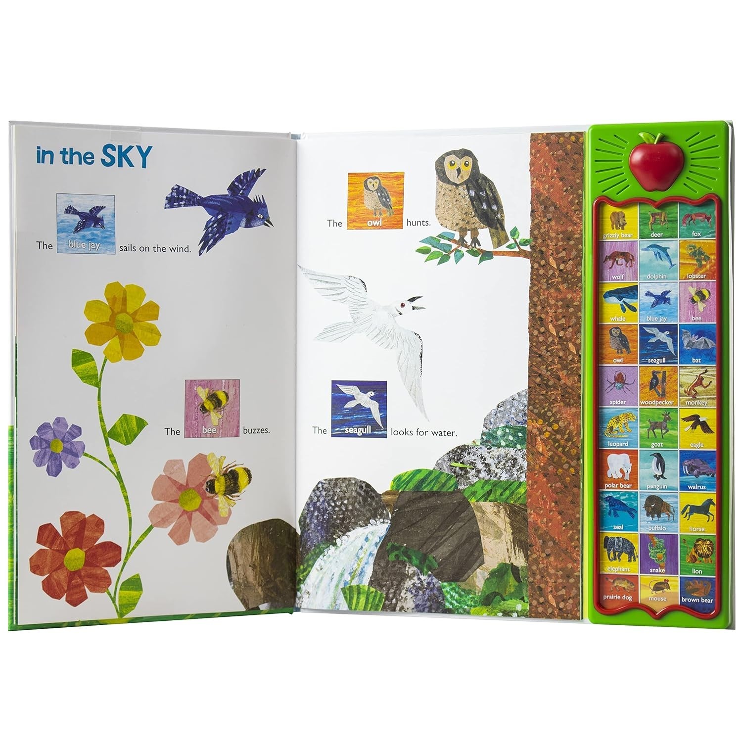 Eric Carle Push Button Sound Board Book Collectors Set w/ 13.5 inch Caterpillar