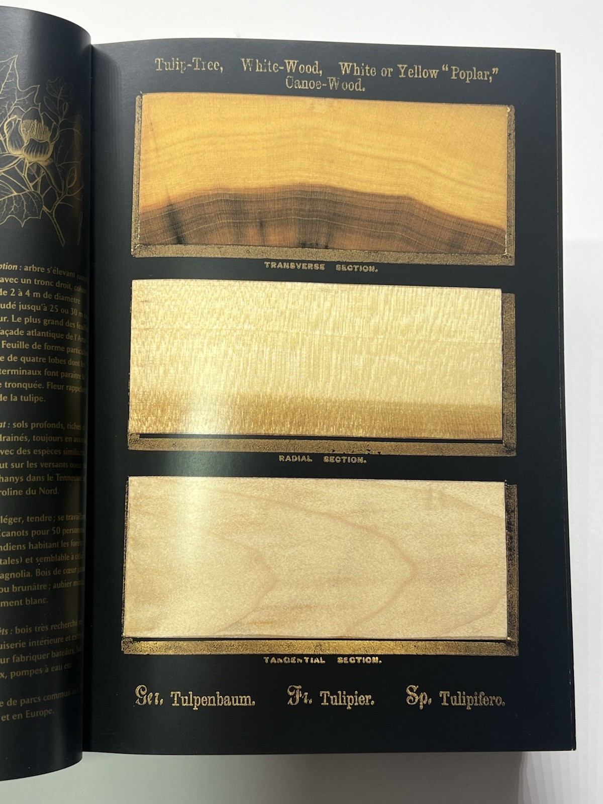 THE WOODBOOK HC