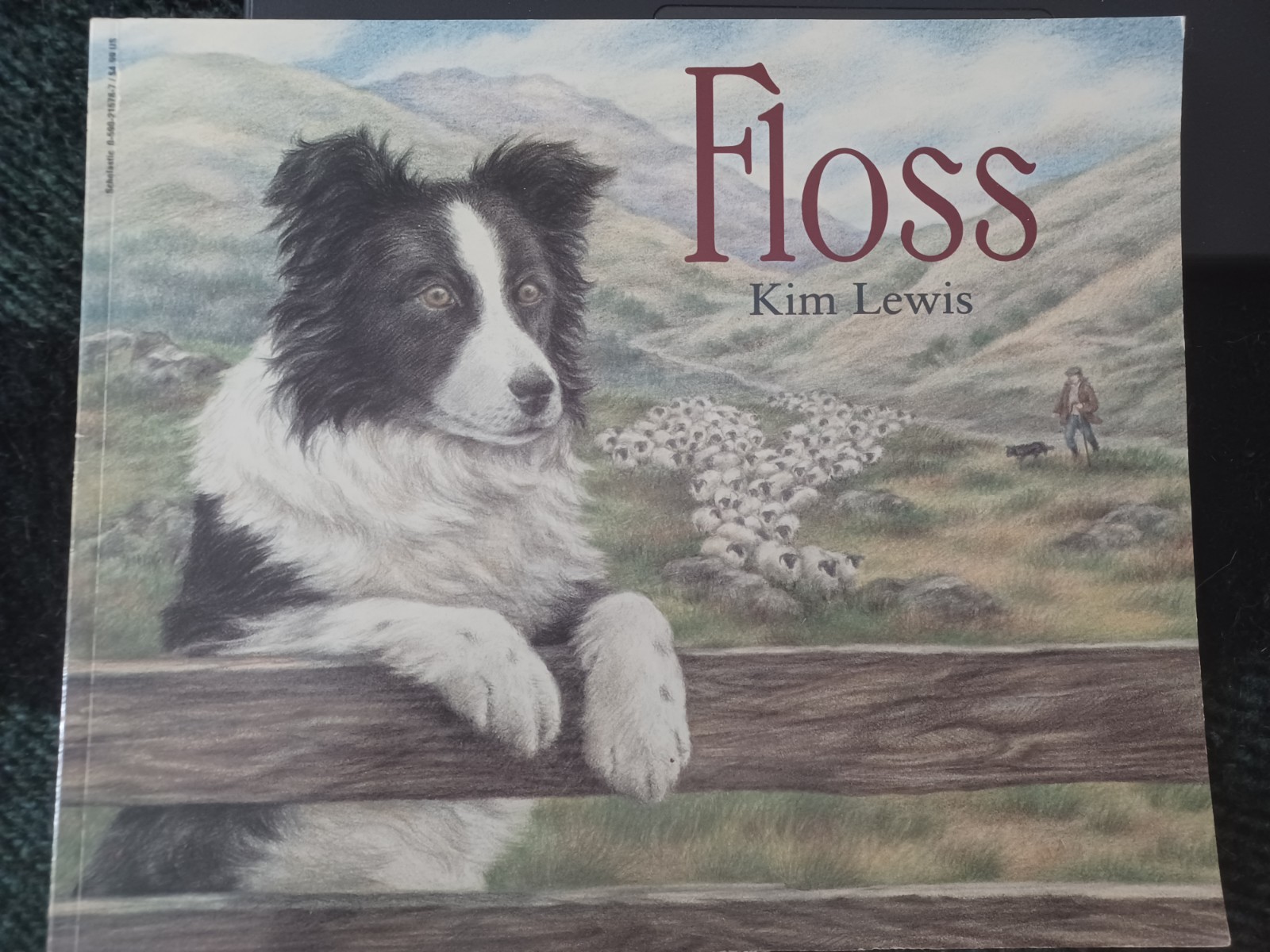 Floss by Kim Lewis BRAND NEW (1997 First Schoolastic Printing) Paperback