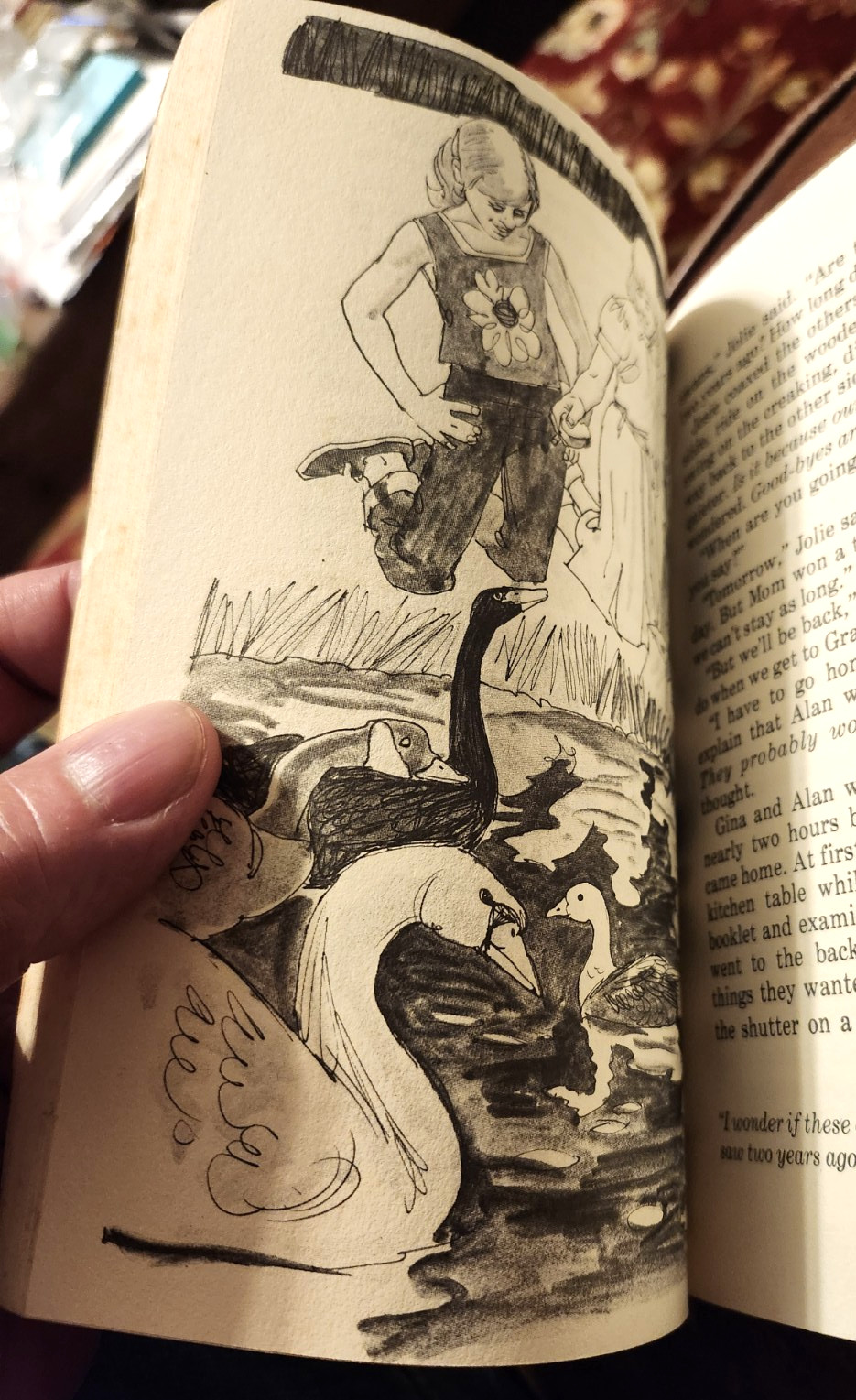 Gina In-Between, by Dorothy Hamilton, PB, 1982, Illustrated, Herald Press