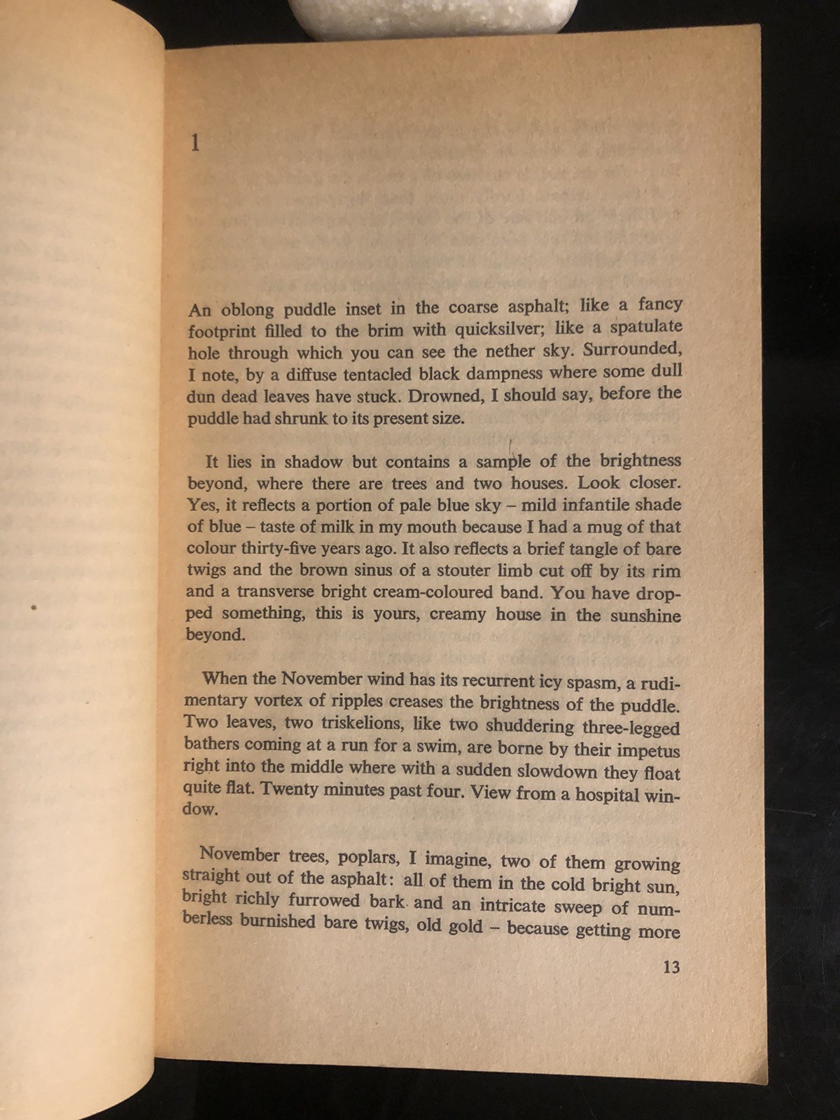 Vladimir Nabokov Bend Sinister Penguin UK 1974 G