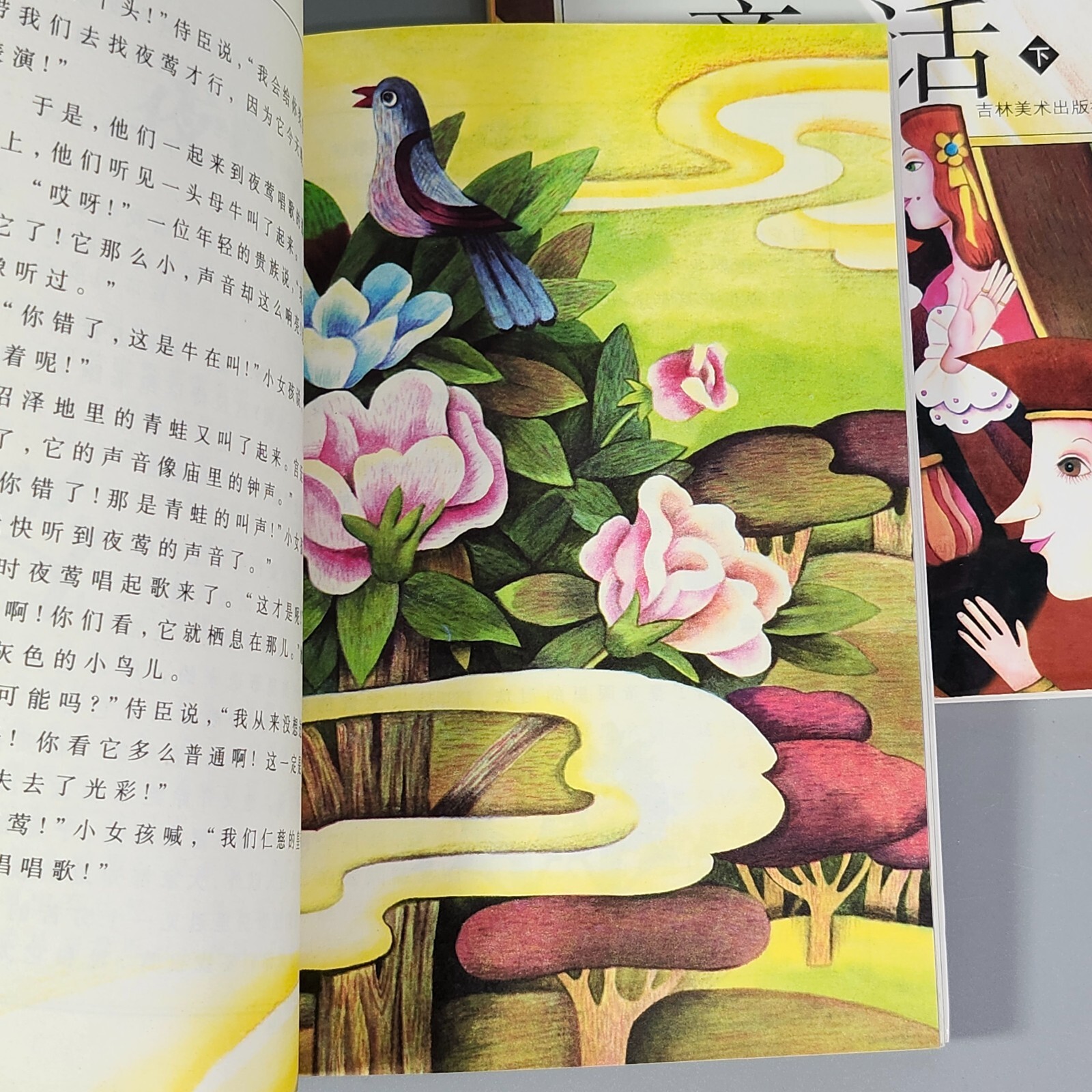 Chinese Text Home School Reading Childrens Books Grimms Andersens Fairy Tales