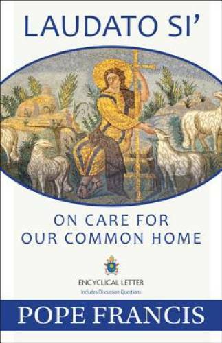 Laudato Si — On Care for Our Common Home – Paperback By Pope Francis – GOOD