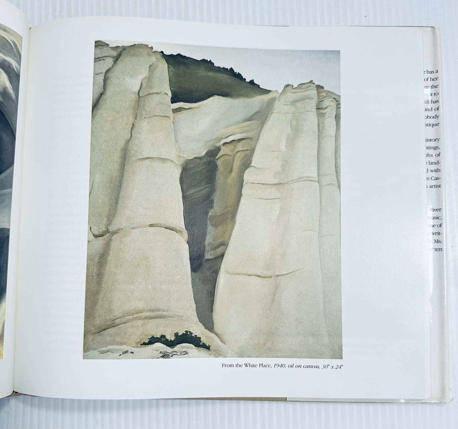 Georgia O Keeffe Art and Life Castro Book with 136 Color Illustrations Edition