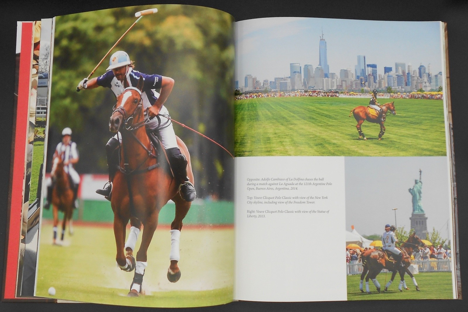 THE STYLISH LIFE: EQUESTRIAN by VICKY MOON 2015, HC/DJ VERY GOOD PLUS