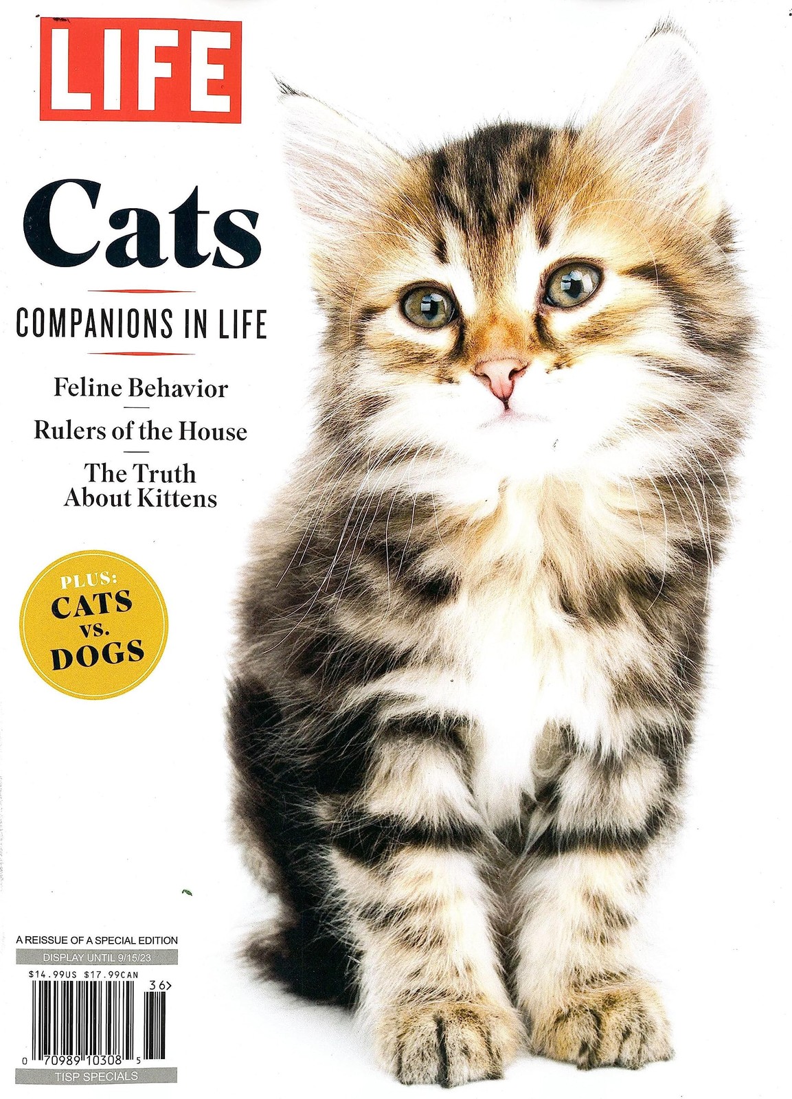 LIFE MAGAZINE – TISP SPECIAL 2023 – CATS COMPANIONS IN LIFE