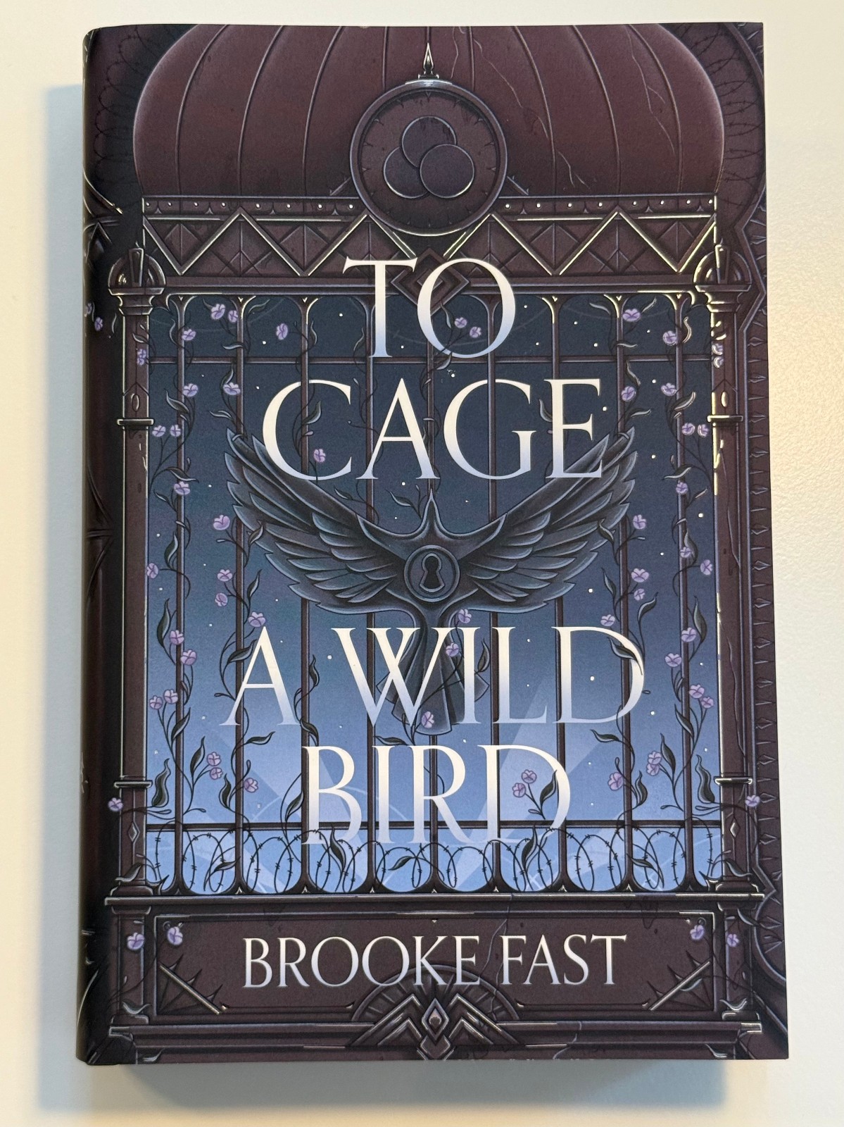 To Cage A Wild Bird by Brooke Fast Fairyloot November 2025 Romantasy Exclusive