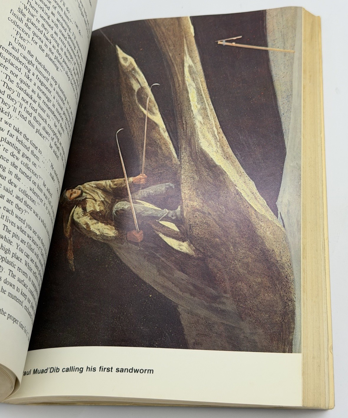 THE ILLUSTRATED DUNE by Frank Herbert ~ 1st Edition 1978 Paperback Collectible