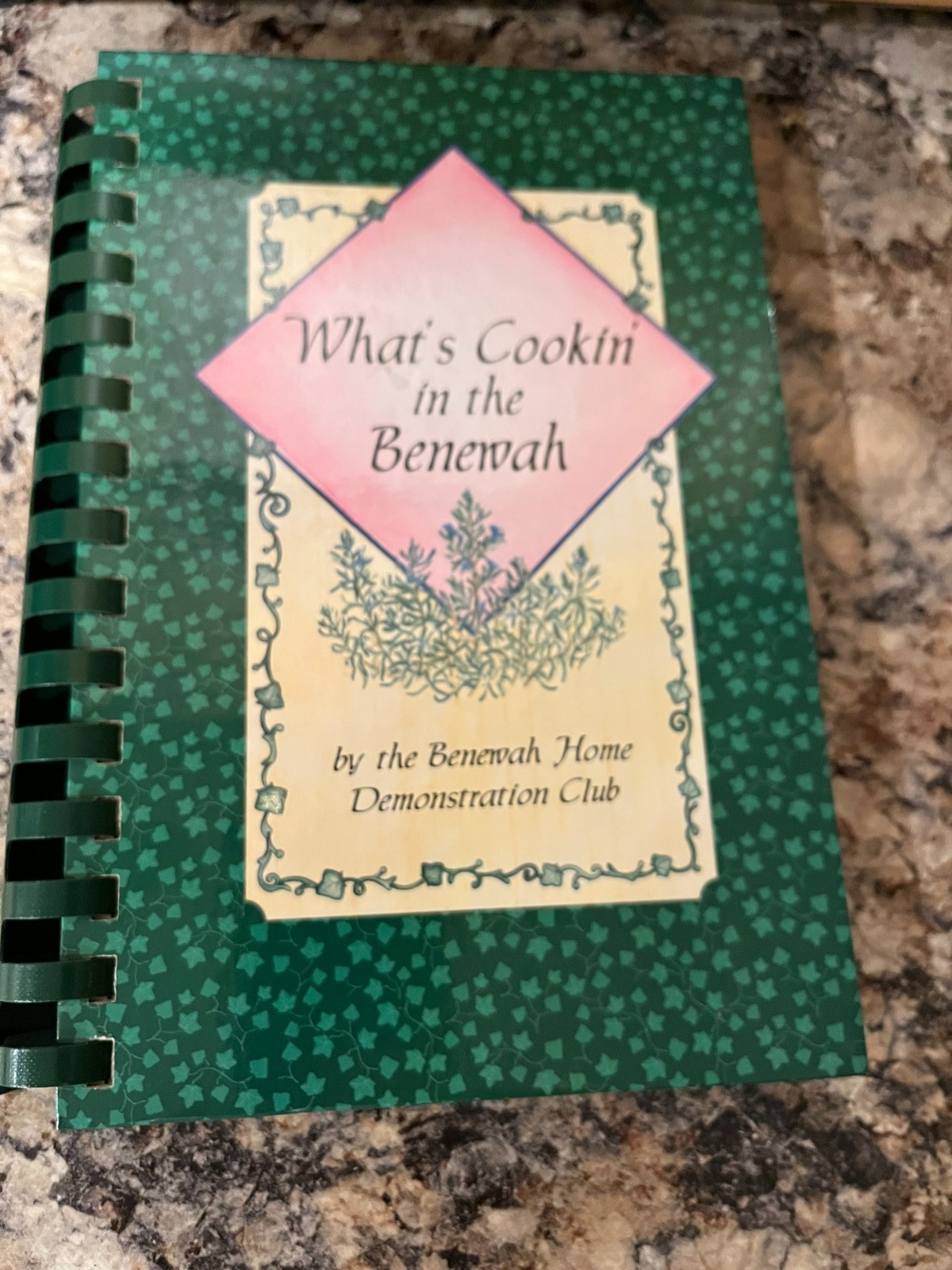 Benewah Home Demonstration Club CookBook St. Maries, ID Recipes 1998 ~ 170 Pages