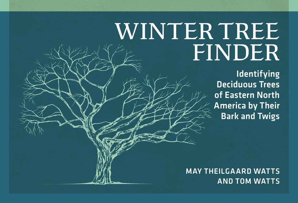 Winter Tree Finder: Identifying Deciduous Trees Of Eastern North America By…