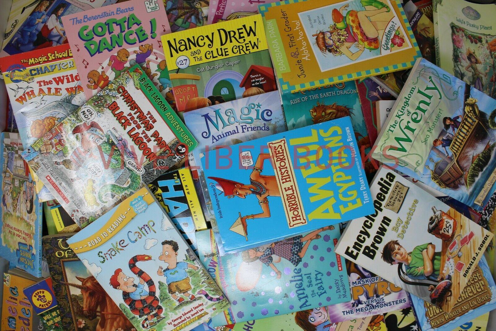 Huge Bulk Lot of 50 RANDOM Kids Children’s Chapter Books Instant Library