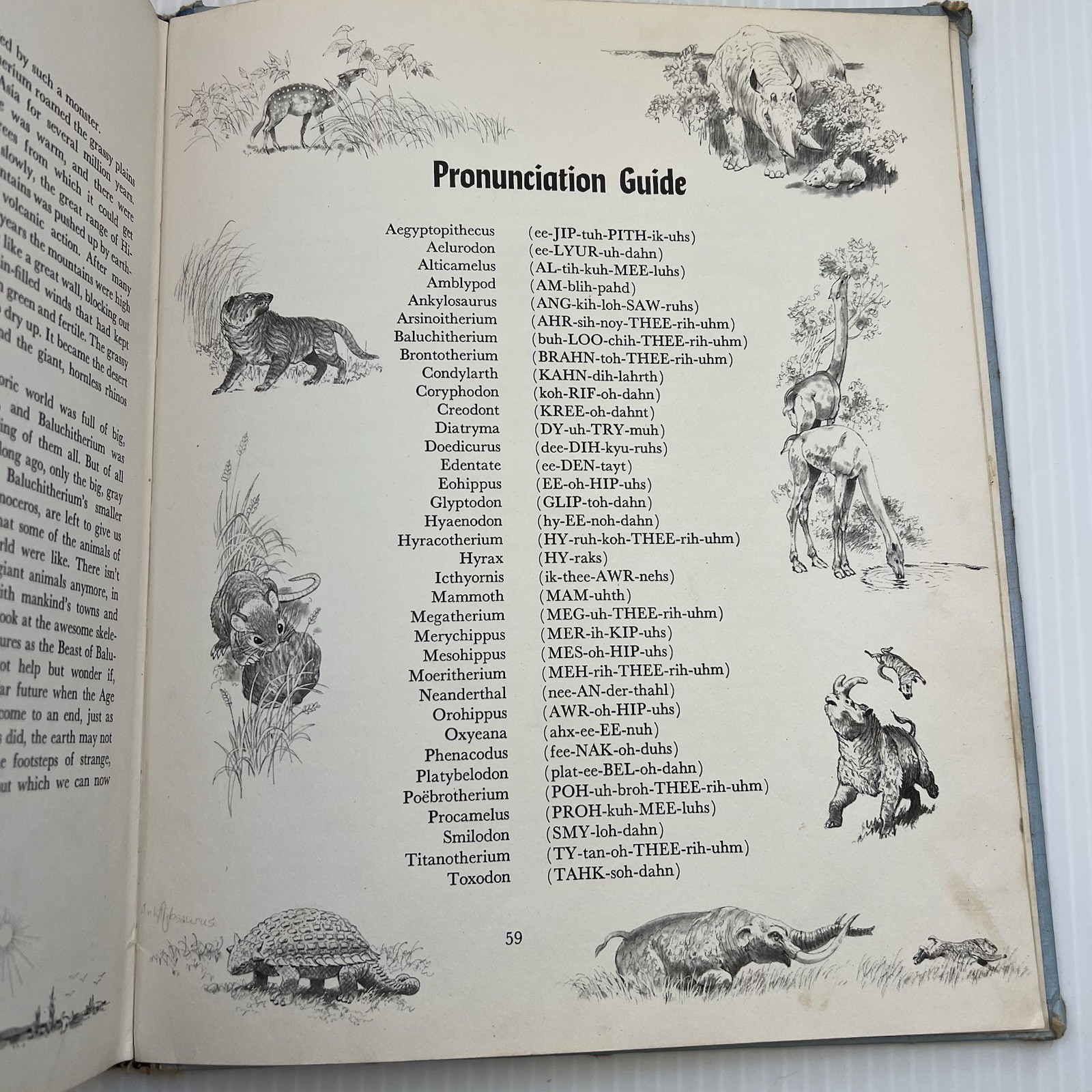Album of Prehistoric Animals by Tom McGowen (1975) Vintage, Dinosaurs, Education
